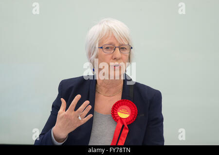 Jenny Rathbone Welsh del lavoro complessivo sono stati presso l'Assemblea nazionale del Galles. Foto Stock