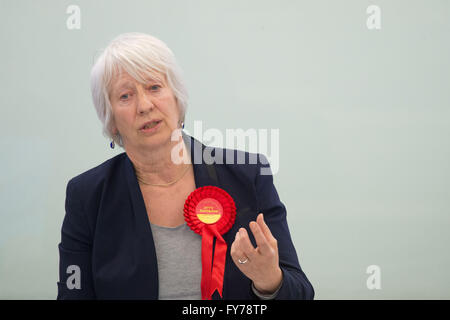 Jenny Rathbone Welsh del lavoro complessivo sono stati presso l'Assemblea nazionale del Galles. Foto Stock