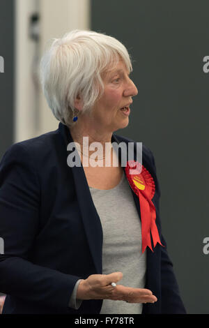 Jenny Rathbone manodopera AM per Cardiff Central presso il National Assembly for Wales. Foto Stock