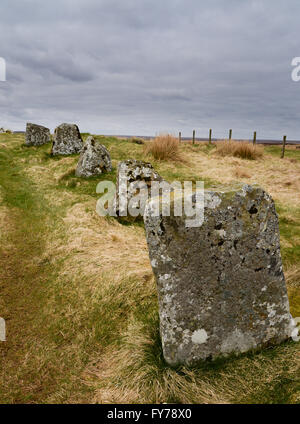 Pietre permanenti di Achavanich, Loch Stemster, Latheron, Caithness, Scozia Foto Stock
