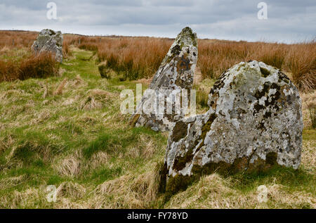 Pietre permanenti di Achavanich, Loch Stemster, Latheron, Caithness, Scozia Foto Stock