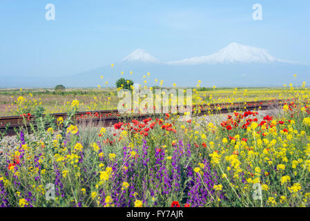 Eurasia, regione del Caucaso, dell'Armenia, il monte Ararat (5137m), la montagna più alta in Turchia fotografata da Armenia Foto Stock