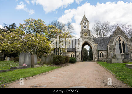 Magnolie tra le lapidi a South Ealing cimitero, London, W5, Regno Unito Foto Stock