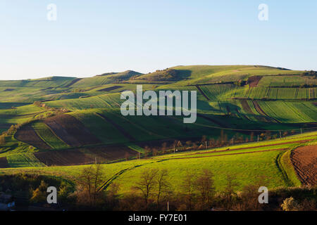 Eurasia, regione del Caucaso, Armenia, Tavush provincia, paesaggio rurale Foto Stock