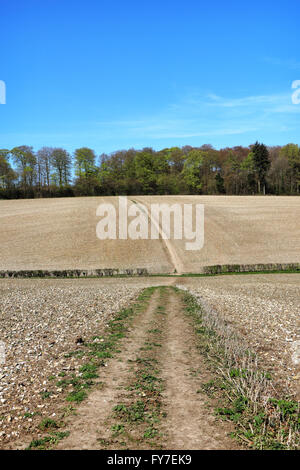 Un inglese un paesaggio rurale con la via attraverso un campo di Chiltern Hills Foto Stock