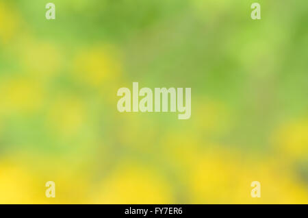 La natura multicolore di sfocato texture di sfondo Foto Stock
