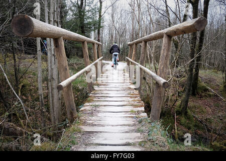 Una ragazza vanno in bicicletta attraverso un ponte di legno su un sentiero forestale Foto Stock