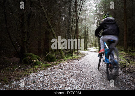 Una ragazza scorre via lungo una pietra di sole / sentiero di ghiaia che avvolge il modo attraverso alberi di conifere in una foresta. Foto Stock