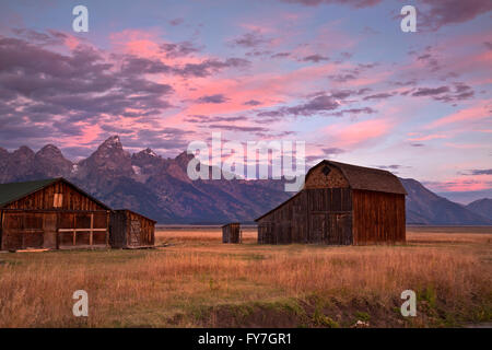 WY01532-00...WYOMING - Sunrise sulla storica Murphy Homestead situato sulla riga mormone nel Parco Nazionale di Grand Teton. Foto Stock