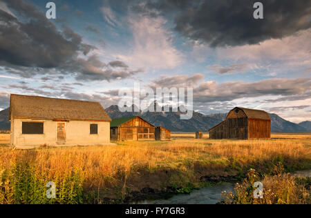 WY01536-00...WYOMING - mattina presto presso la storica Murphy Homestead situato sulla riga mormone nel Parco Nazionale di Grand Teton. Foto Stock