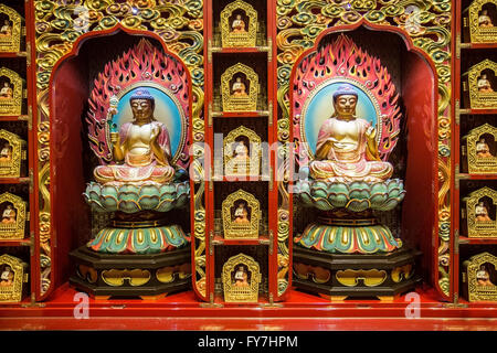 Una serie di piccole statue di Buddha sulla parete del Dente del Buddha reliquia tempio in China Town, Singapore Foto Stock