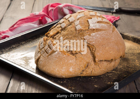 Filone di pane casereccio fresco dal forno Foto Stock