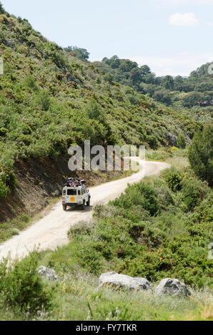 Land Rover, 4x4 guida fuoristrada viaggio, tour, ecoturismo aziona attraverso, Sierra de las Nieves, Andalusia, Spagna. Foto Stock