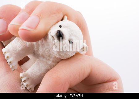 Mano azienda bianco orso polare modello Foto Stock