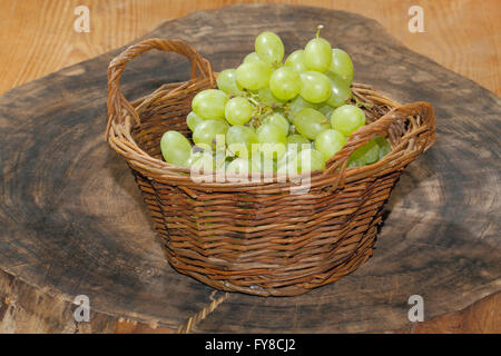 Appena le uve raccolte in un cestello Foto Stock