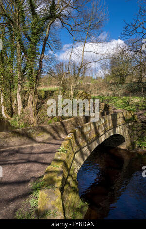 Una soleggiata giornata di primavera nella valle di Rivelin vicino a Sheffield. Foto Stock