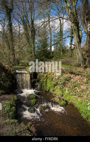 Una soleggiata giornata di primavera nella valle di Rivelin vicino a Sheffield. Un luogo con industriale rimane nella pittoresca valle. Foto Stock