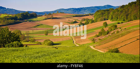 Idilliaco paesaggio agricolo vista panoramica, nord della Croazia Foto Stock