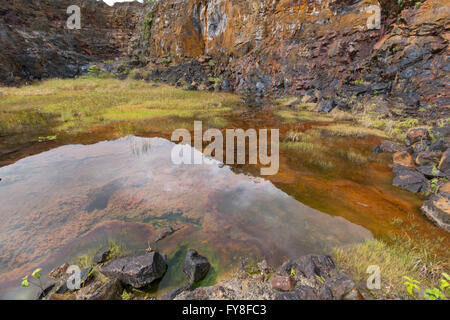 Affioramento di olio rocce del cuscinetto in una vecchia cava in provincia di Napo, Ecuador. Foto Stock