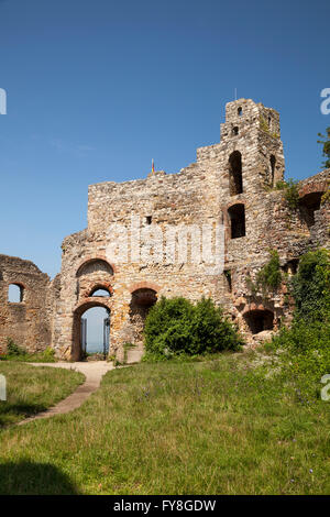 Staufen rovine del castello, Staufen im Breisgau, Foresta Nera, Baden-Württemberg, Germania Foto Stock