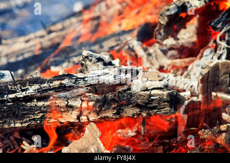 Fuoco, Legno, caminetto, stufa, fiamma bruciare, log, hot, falò, rosso, calore, camp, sfondo arancione, grill, carbone, candelette, caldo Foto Stock