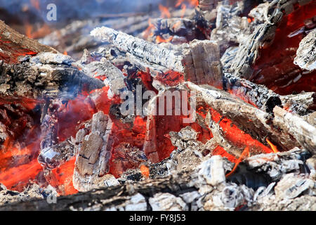 Fuoco, Legno, caminetto, stufa, fiamma bruciare, log, hot, falò, rosso, calore, camp, sfondo arancione, grill, carbone, candelette, caldo, Foto Stock