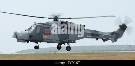 Royal Navy Wildcat elicottero a Newquay Airport/RAF St Mawgan, durante l'esercizio Griffin sciopero Foto Stock