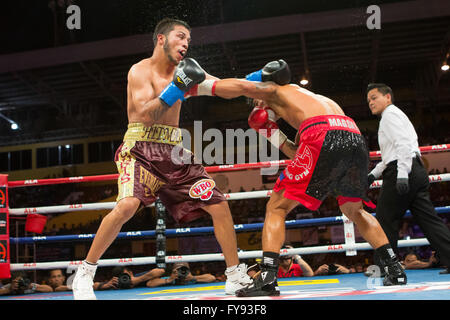 23/4/2016 Cebu City complesso sportivo, Cebu, Filippine.Sulla stessa lotta scheda come Donaire vs Bedak, fino e venendo pugilato filippino prospettiva Mark 'Magnifico' Magsayo (20 anni W14 L0 D0) ha lottato Chris "Hitman' Avalos (26Yrs W26 L5-D0) per il vacante WBO Internazionale Campionato Peso piuma.Lo scontro che termina nel round 6 dopo un attacco sferrato da Magsayo costringendo l'angolo d'Avalos a gettare la spugna proprio in quel momento il refereee arrestato la lotta. Foto Stock