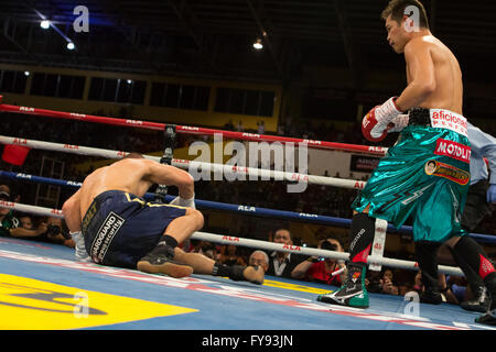 Cebu City, Filippine. 23 apr, 2016. Boxer Filipino-American,Nonito "Flash filippino' Donaire (32 anni) W37 L3-D0) realizzato a difesa del suo mondo Super Peso gallo titolo sconfiggendo il challenger da Ungheria, Zsolt Bedak (32 anni) W25 L2-D0) essendo Bedak buttato giù tre volte prima che la lotta è stata interrotta nel terzo round. Credito: galleria immagini2/Alamy Live News Foto Stock