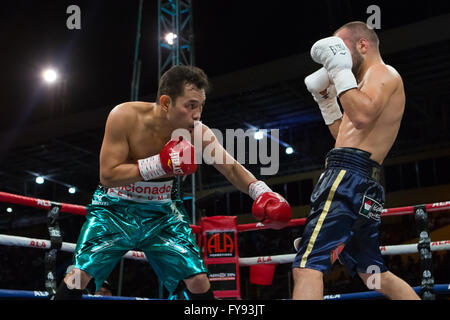 Cebu City, Filippine. 23 apr, 2016. Boxer Filipino-American,Nonito "Flash filippino' Donaire (32 anni) W37 L3-D0) realizzato a difesa del suo mondo Super Peso gallo titolo sconfiggendo il challenger da Ungheria, Zsolt Bedak (32 anni) W25 L2-D0) essendo Bedak buttato giù tre volte prima che la lotta è stata interrotta nel terzo round. Credito: galleria immagini2/Alamy Live News Foto Stock