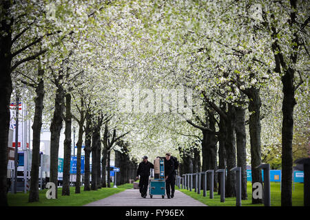 Hannover, Germania. 23 apr, 2016. I membri dello staff di offrire attrezzature al di fuori di un luogo prima del 2016 Hannover Fiera commerciale di Hannover, Germania, il 23 aprile 2016. Il leader mondiale per la fiera per la tecnologia industriale, al quale hanno partecipato circa 5000 espositori, si svolgerà dal 25 aprile al 29 con gli Stati Uniti in questo anno il paese partner. © Zhang ventola/Xinhua/Alamy Live News Foto Stock