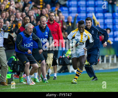 Londra, Regno Unito. 23 Aprile, 2016. Christian Wade di vespe, Saraceni vs vespe, Rugby europeo Champions Cup, Semi-Final Madejski Stadium, Aprile 23, 2016 in Reading, in Inghilterra. Credito: Gary Mitchell/Alamy Live News Foto Stock