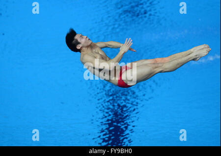 Kazan, Russia. 23 Aprile, 2016. Cao yuan cinese compete durante Uomini 3m Springboard Finale a FINA/cnv diving world series a Kazan, Russia, apr. 23, 2016 Credit: Pavel Bednyakov/Alamy Live News Foto Stock