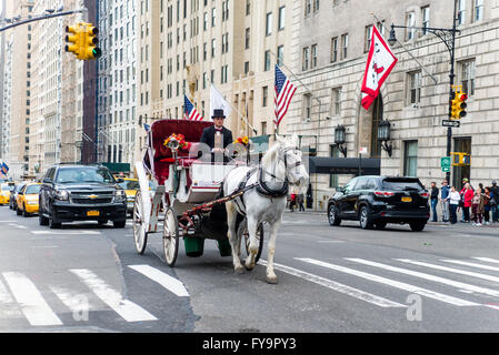 New York, NY - 31 Marzo 2016 - bianco carrello cavallo ad ovest di trotto lungo la Central Park South. ©Stacy Rosenstock Walsh Foto Stock