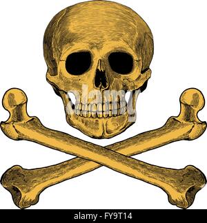 Cranio e crossbones in stile di incisione Illustrazione Vettoriale