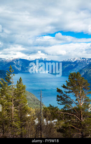 La bellissima natura della Norvegia. Il Sognefjorden. Foto Stock