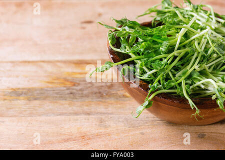 Ciotola di germogli di piselli Foto Stock