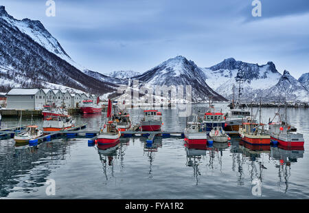 Pescherecci nel porto di Husøy ho Senja,Senja, Troms, Norvegia, Europa Foto Stock