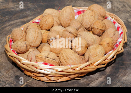 Appena raccolto le noci in un cestello Foto Stock