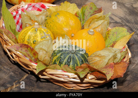 Cestello con coloquintidi ornamentali, foglie di autunno, vari dadi e physalis su un rustico di legno, decorazioni di ringraziamento Foto Stock