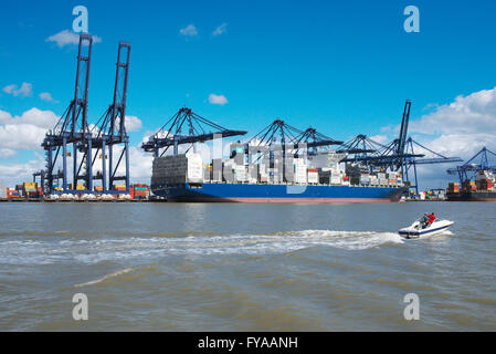 Le piccole imbarcazioni da diporto motori su Mare del Nord passato grandi navi container del porto di Felixstowe sulla costa di Suffolk NEL REGNO UNITO Foto Stock