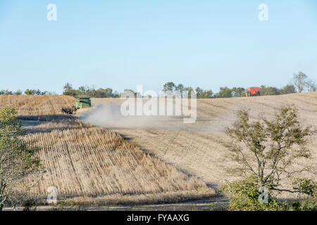 Raccolta del mais in Kentucky USA Foto Stock