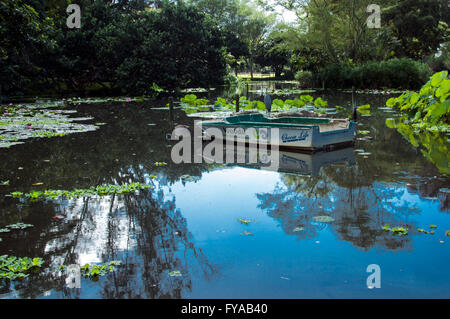 Stork bird e barca sul laghetto in giardino botanico Foto Stock