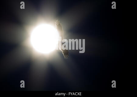 Nibbio reale (Milvus milvus) soaring over (in volo, creative) Yorkshire, Regno Unito Foto Stock