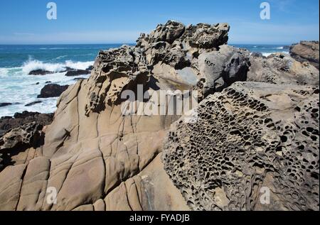 Le formazioni rocciose a Salt Point State Park sulla Northern California Coast. Foto Stock