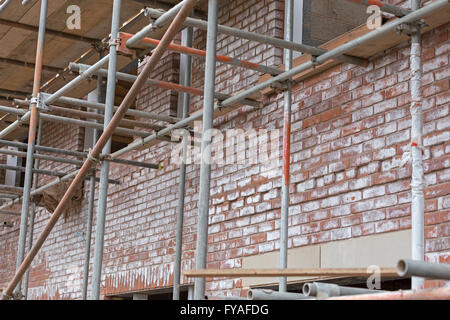 L'efflorescenza o salatura su un nuovo edificio in mattoni di sviluppo, England, Regno Unito Foto Stock