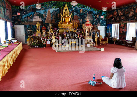 Kissimmee Florida, Orlando Wat Florida Dhammaram Monastero buddista, tempio, interno, adulti asiatici, donne femminili, preghiera, seduta, FL1604 Foto Stock