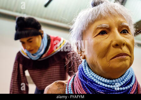 Florida,Sud,FL,Riserva indiana Big Cypress Seminole Tribe,Museo Indiano Ah-Tah-Thi-Ki Seminole,interno,mostra collezione,vita Foto Stock