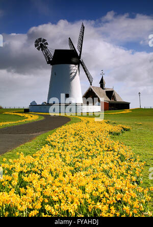 La molla narcisi che conduce a Lytham mulino e la vecchia stazione di salvataggio Foto Stock