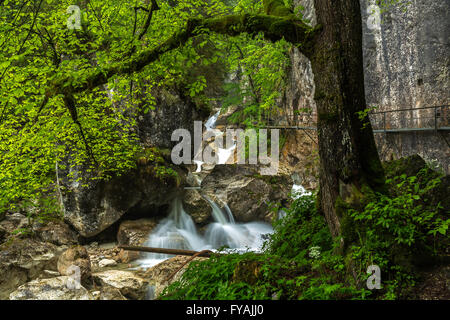 Poellat gorge vicino al castello di Neuschwanstein, Germania Foto Stock